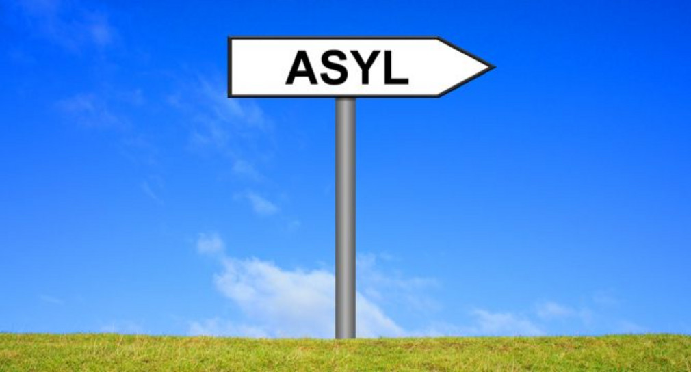 Das Bild zeigt ein Wegweiserschild mit der Aufschrift "Asyl" auf grünem Gras vor blauem Himmel.
