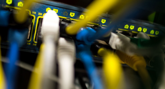 Netzwerkkabel stecken in einem Serverraum in einem Switch. (Foto: © dpa)